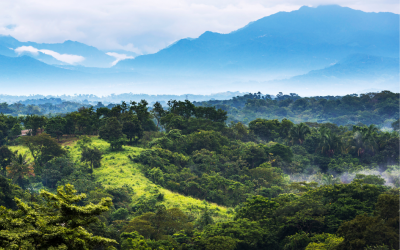 Pengertian Biosfer Dalam Studi Geografi